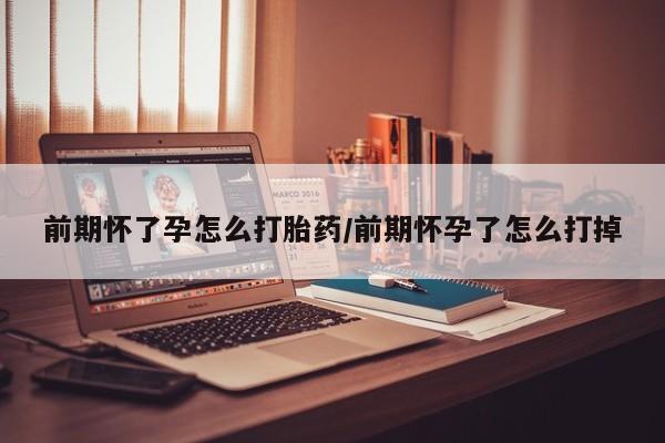药流药如何购买前期怀了孕怎么打胎药/前期怀孕了怎么打掉