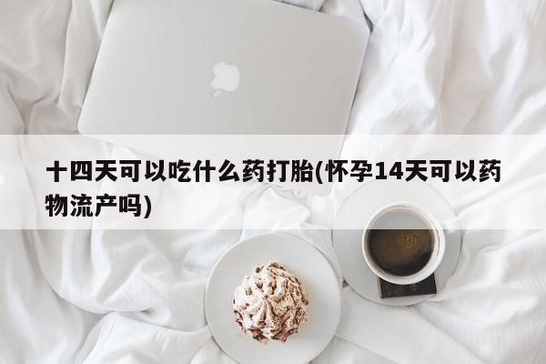 药流药如何购买十四天可以吃什么药打胎(怀孕14天可以药物流产吗)
